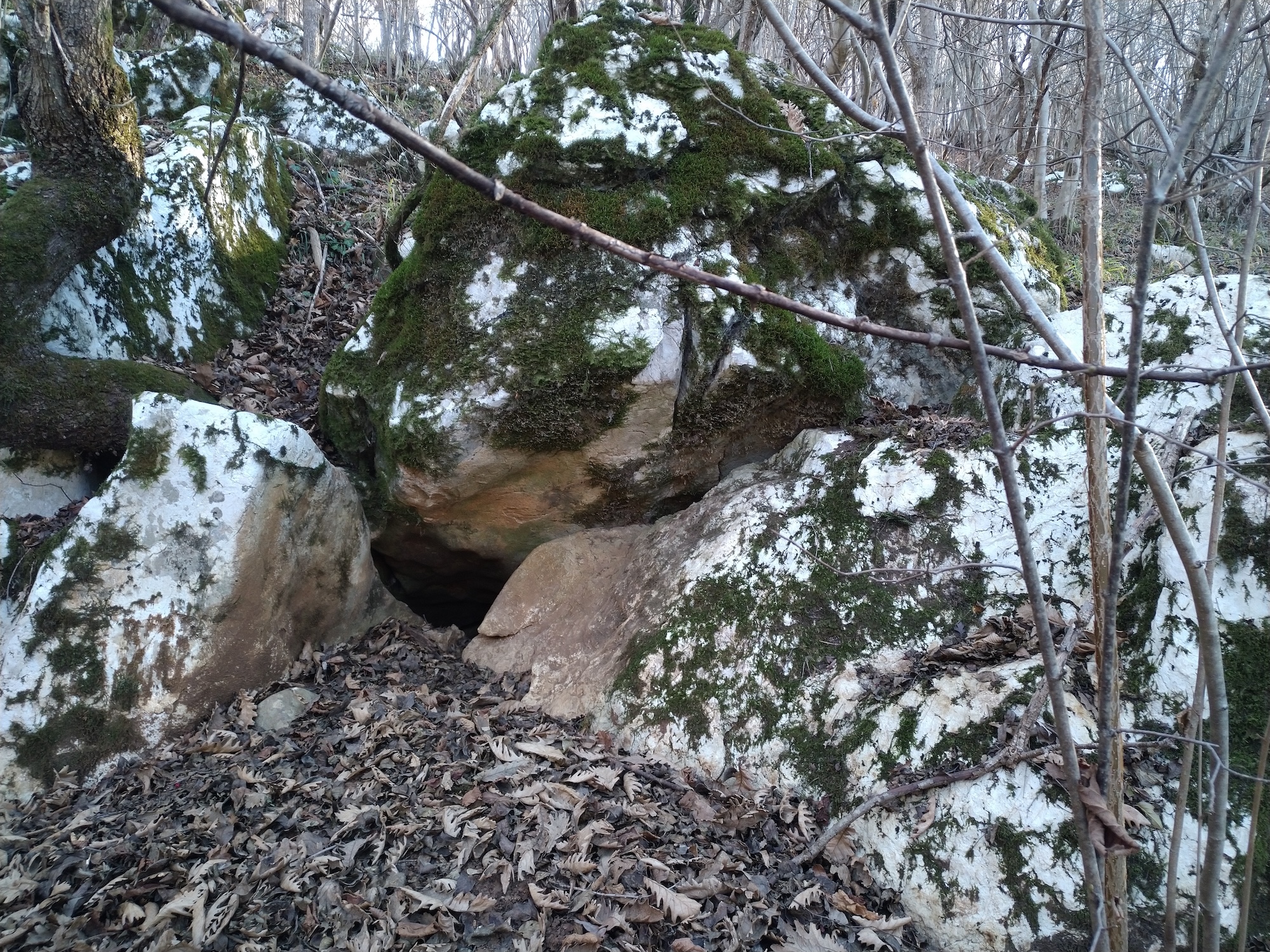 Peștera din Stejeriș - Image 2